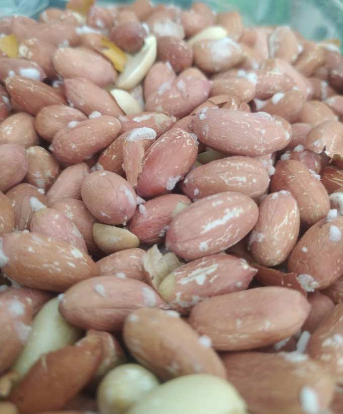 بادام زمینی ترد آستانه اشرفیه 1404