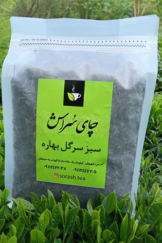 چای سبز طبیعی لاهیجان تولید بهار 1404