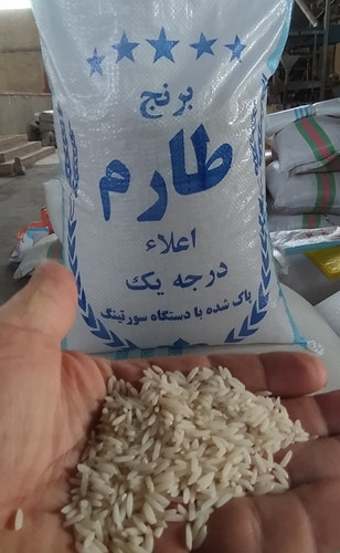 برنج طارم دو الکه آستانه اشرفیه 1404
