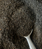 چای نیم کیلویی ممتاز دست چین